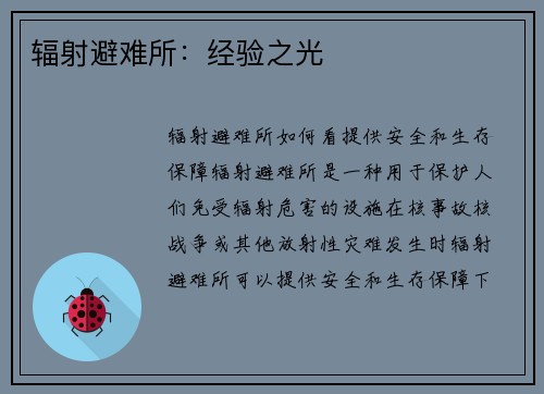 辐射避难所：经验之光